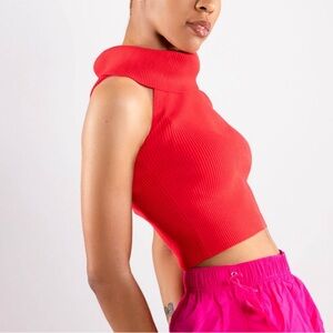 Crop Ribbed Knit Top